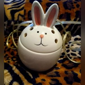 Pink Zebra Bunny Simmer Pot